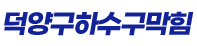 덕양구하수구막힘